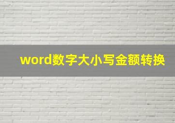 word数字大小写金额转换