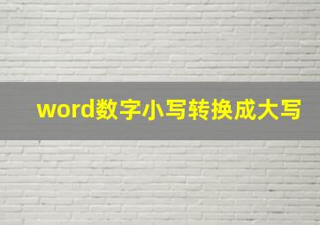 word数字小写转换成大写