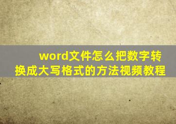 word文件怎么把数字转换成大写格式的方法视频教程