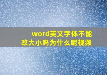 word英文字体不能改大小吗为什么呢视频