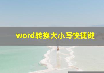 word转换大小写快捷键