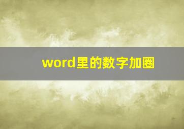 word里的数字加圈