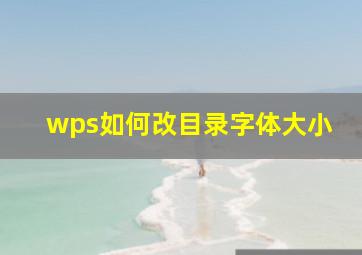 wps如何改目录字体大小