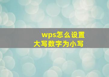 wps怎么设置大写数字为小写