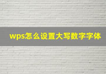 wps怎么设置大写数字字体