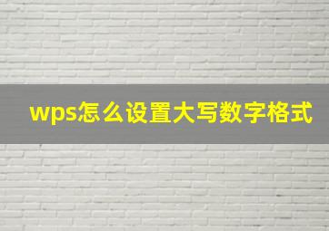 wps怎么设置大写数字格式