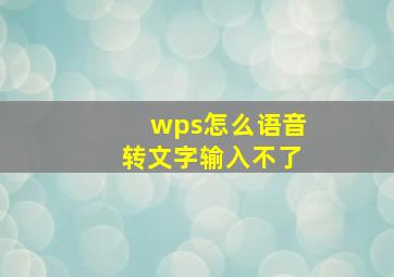 wps怎么语音转文字输入不了