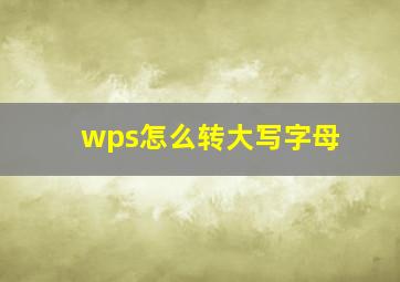 wps怎么转大写字母