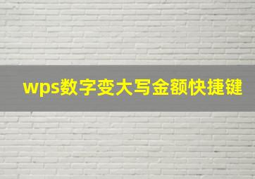 wps数字变大写金额快捷键