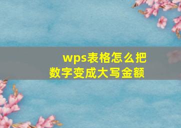 wps表格怎么把数字变成大写金额