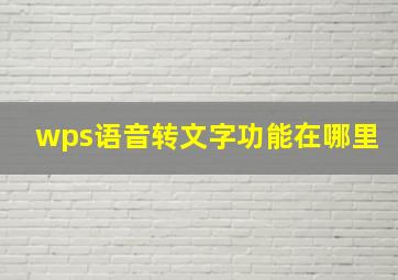 wps语音转文字功能在哪里