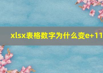 xlsx表格数字为什么变e+11