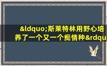 “斯莱特林用野心培养了一个又一个痴情种”