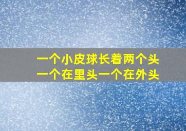 一个小皮球长着两个头一个在里头一个在外头