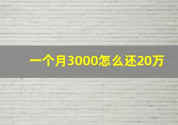 一个月3000怎么还20万