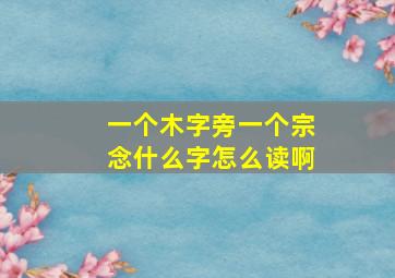 一个木字旁一个宗念什么字怎么读啊