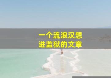 一个流浪汉想进监狱的文章