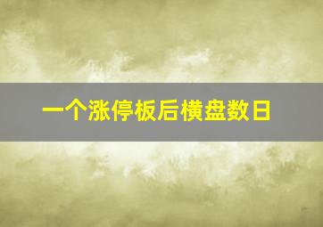 一个涨停板后横盘数日