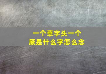 一个草字头一个厥是什么字怎么念