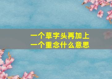 一个草字头再加上一个重念什么意思