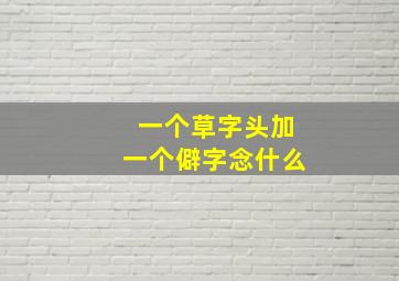 一个草字头加一个僻字念什么