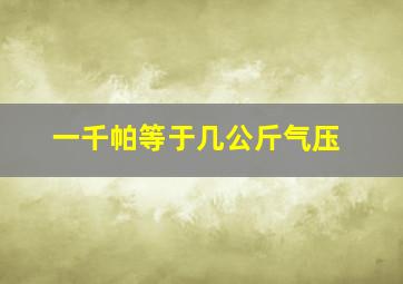 一千帕等于几公斤气压