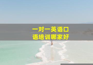 一对一英语口语培训哪家好