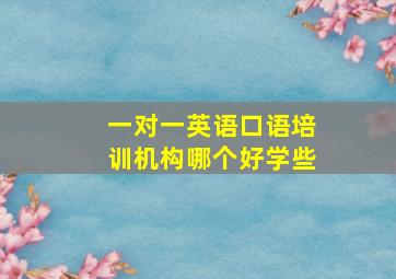 一对一英语口语培训机构哪个好学些