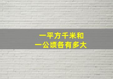 一平方千米和一公顷各有多大