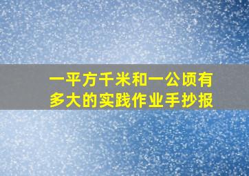 一平方千米和一公顷有多大的实践作业手抄报