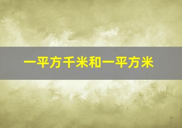 一平方千米和一平方米