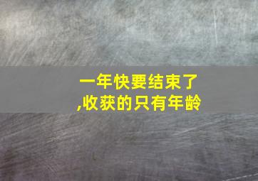 一年快要结束了,收获的只有年龄