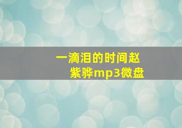 一滴泪的时间赵紫骅mp3微盘