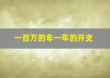 一百万的车一年的开支