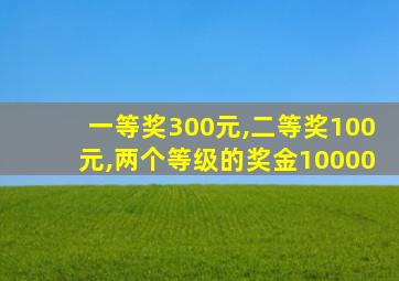 一等奖300元,二等奖100元,两个等级的奖金10000