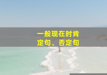 一般现在时肯定句、否定句