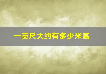 一英尺大约有多少米高