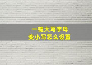 一键大写字母变小写怎么设置