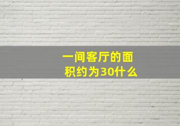 一间客厅的面积约为30什么