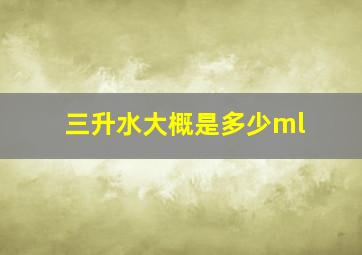 三升水大概是多少ml