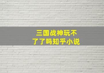 三国战神玩不了了吗知乎小说