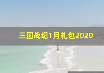 三国战纪1月礼包2020