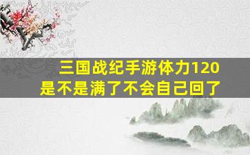 三国战纪手游体力120是不是满了不会自己回了