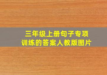 三年级上册句子专项训练的答案人教版图片