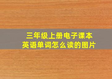 三年级上册电子课本英语单词怎么读的图片