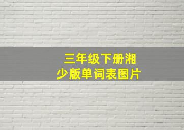 三年级下册湘少版单词表图片