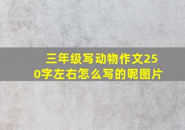 三年级写动物作文250字左右怎么写的呢图片