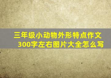 三年级小动物外形特点作文300字左右图片大全怎么写