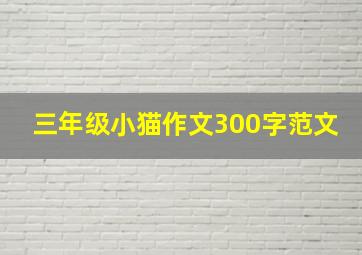 三年级小猫作文300字范文