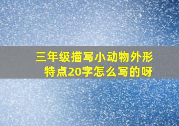 三年级描写小动物外形特点20字怎么写的呀